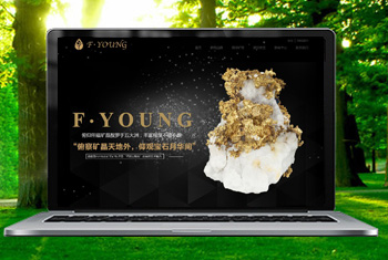 ��³���������ﱦʯ