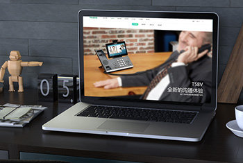 ��³������